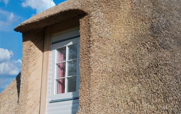 Washfield thatch roof disadvantages